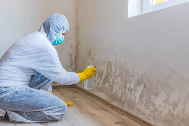 Licensed Commercial Mold Remediation service in Hesston, PA - WQB Mold Removal