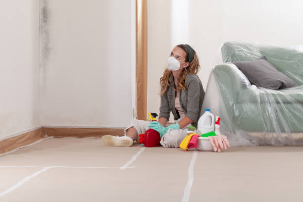 Reliable Commercial Mold Remediation contractor in Hesston, PA by WQB Mold Removal